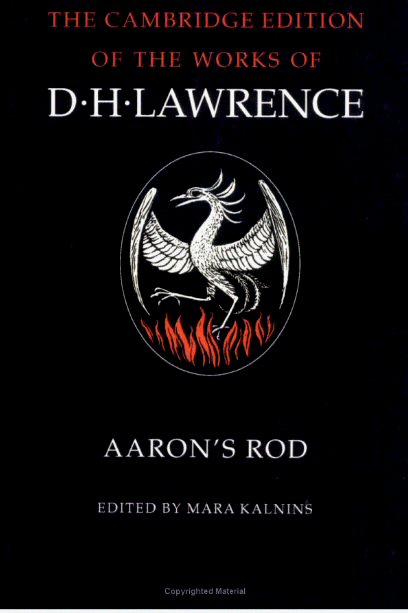 Aaron's Rod [ePUB]